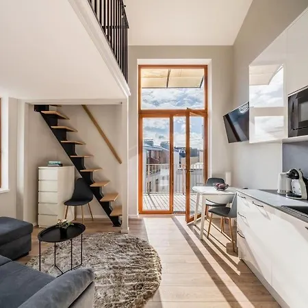 Apartment New Loft With Rooftop Terrace In The Old Town