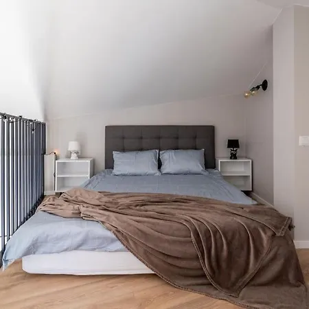 아파트 New Loft With Rooftop Terrace In The Old Town 리가