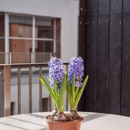 アパート New Loft With Rooftop Terrace In The Old Town *