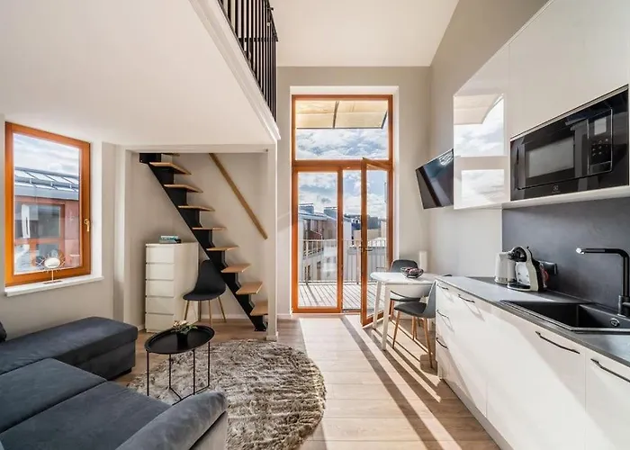 Apartment New Loft With Rooftop Terrace In The Old Town