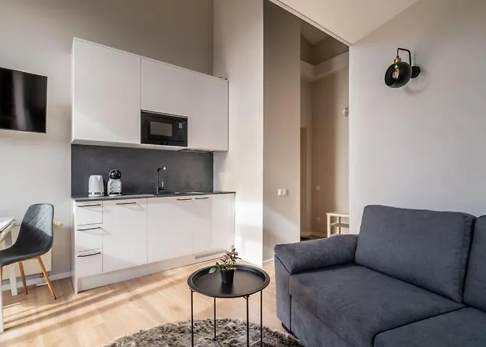 Dzīvoklis New Loft With Rooftop Terrace In The Old Town Riga