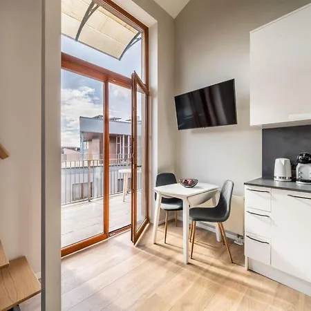 New Loft With Rooftop Terrace In The Old Town 公寓 *