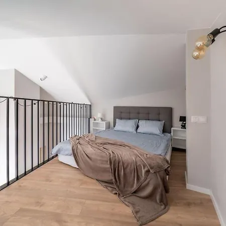 公寓 New Loft With Rooftop Terrace In The Old Town 里加